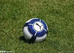 烟台东片区,召开全省经,济社发展专,RAYBET雷竞技,RAYBET雷竞技官网,RAYBET雷竞技入口,RAYBET雷竞技首页