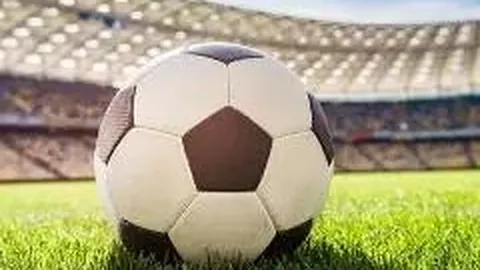 烟台东片区召开全省经济社发展专题会，多措促进经济稳健提升，确保完成全年目标，力争明年一季度实现“开门红”