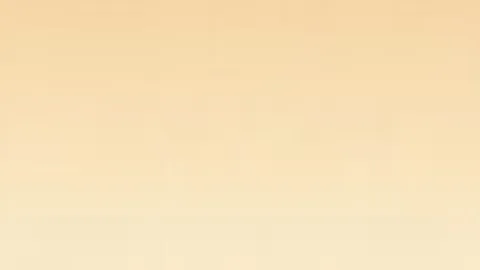 RAYBET雷竞技 产品 100306 lz5