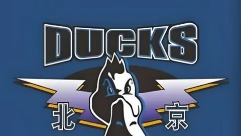 雷竞技 ，RAYBET雷竞技入口，111640 0